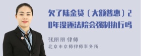 欠了陆金贷（大额普惠）20年没还法院会强制执行吗