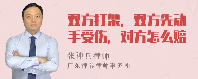 双方打架，双方先动手受伤，对方怎么赔