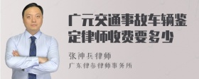 广元交通事故车辆鉴定律师收费要多少