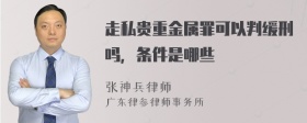 走私贵重金属罪可以判缓刑吗，条件是哪些