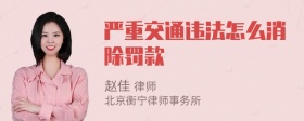 严重交通违法怎么消除罚款