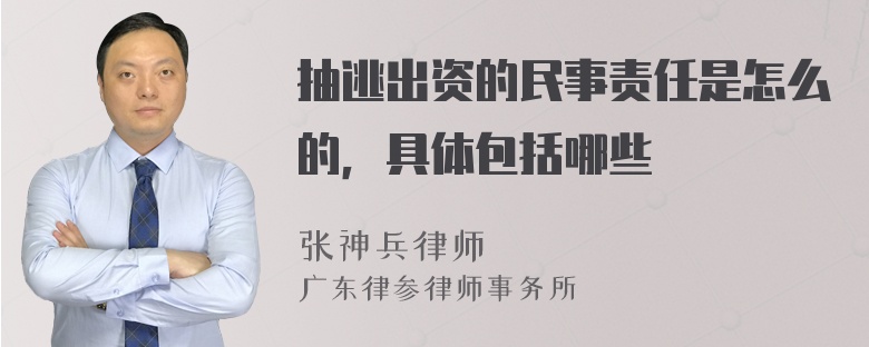 抽逃出资的民事责任是怎么的，具体包括哪些