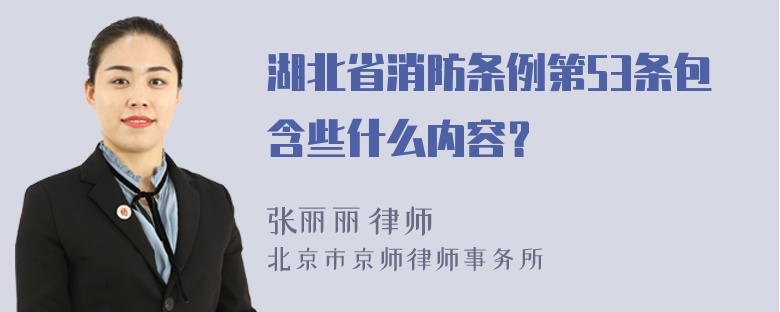 湖北省消防条例第53条包含些什么内容？