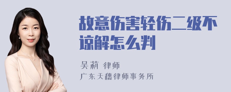 故意伤害轻伤二级不谅解怎么判