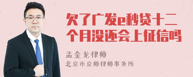 欠了广发e秒贷十二个月没还会上征信吗