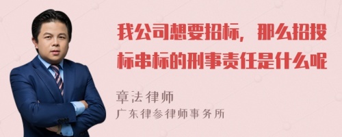 我公司想要招标，那么招投标串标的刑事责任是什么呢