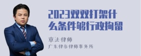 2023双双打架什么条件够行政拘留