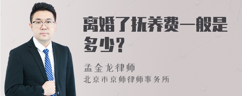 离婚了抚养费一般是多少？