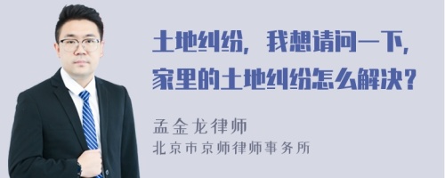 土地纠纷，我想请问一下，家里的土地纠纷怎么解决？