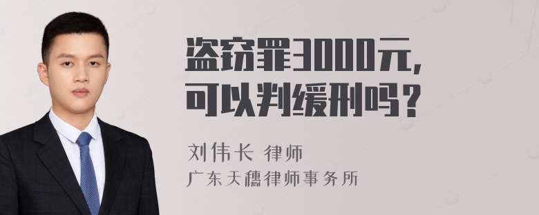 盗窃罪3000元，可以判缓刑吗？