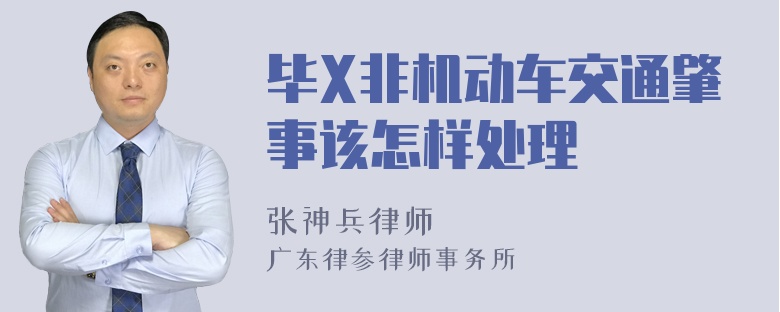 毕X非机动车交通肇事该怎样处理