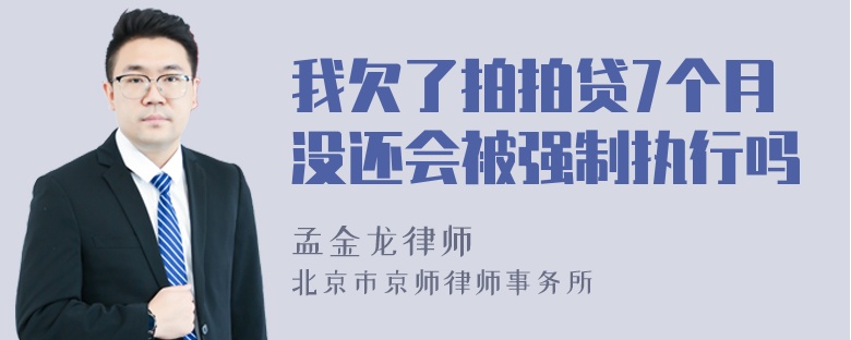 我欠了拍拍贷7个月没还会被强制执行吗