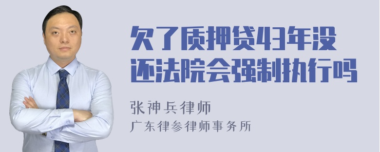 欠了质押贷43年没还法院会强制执行吗