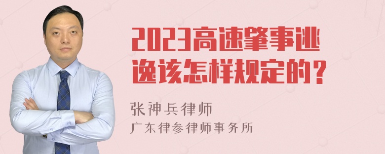 2023高速肇事逃逸该怎样规定的？