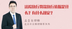 法院执行罚款执行依据是什么？有什么规定？