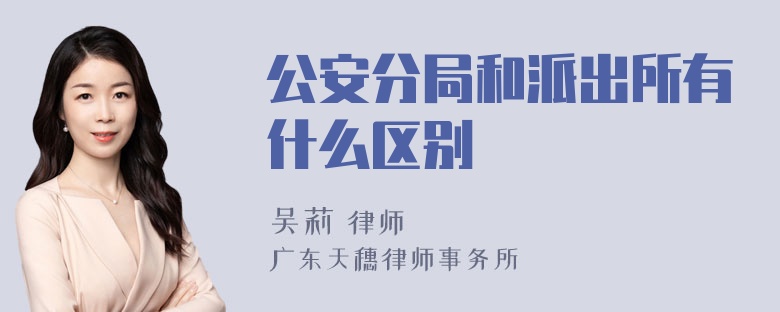 公安分局和派出所有什么区别
