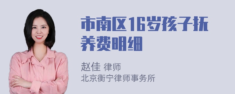 市南区16岁孩子抚养费明细