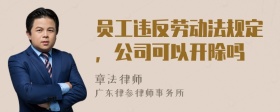 员工违反劳动法规定，公司可以开除吗