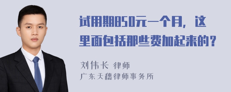 试用期850元一个月，这里面包括那些费加起来的？