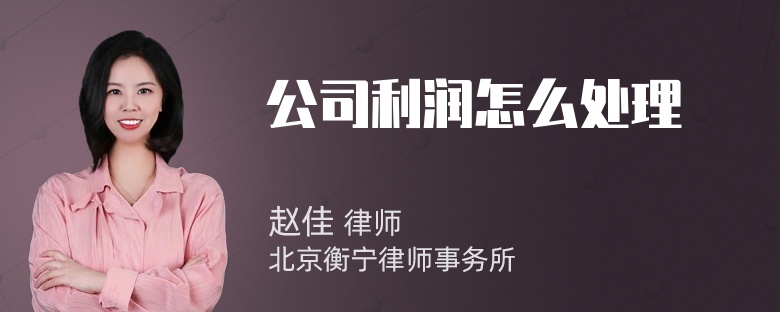 公司利润怎么处理