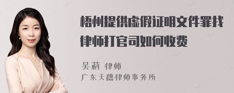 梧州提供虚假证明文件罪找律师打官司如何收费