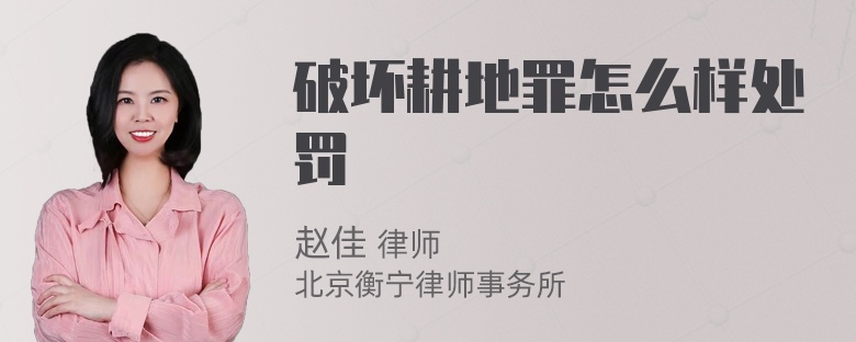 破坏耕地罪怎么样处罚