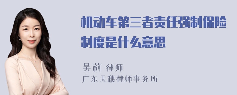 机动车第三者责任强制保险制度是什么意思