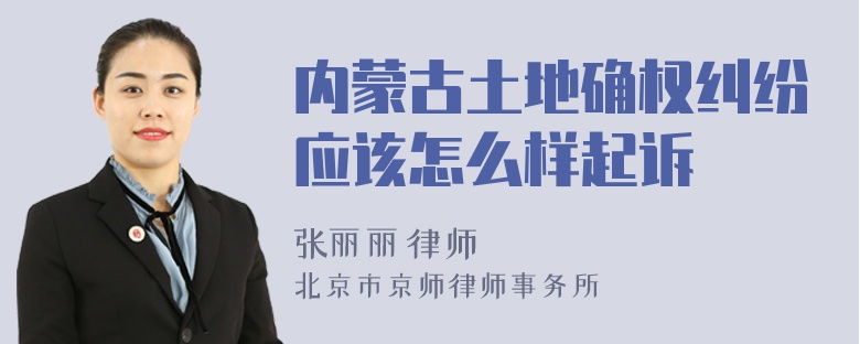 内蒙古土地确权纠纷应该怎么样起诉