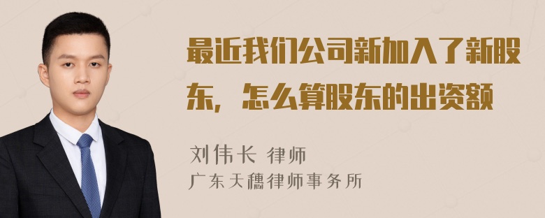 最近我们公司新加入了新股东，怎么算股东的出资额