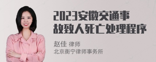 2023安徽交通事故致人死亡处理程序