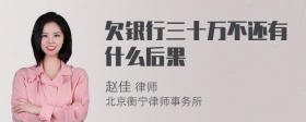 欠银行三十万不还有什么后果