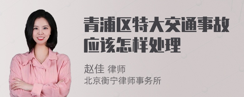 青浦区特大交通事故应该怎样处理