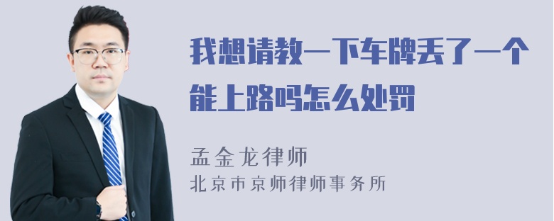 我想请教一下车牌丢了一个能上路吗怎么处罚