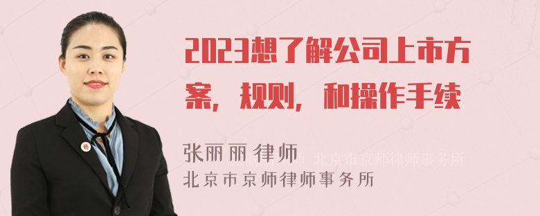 2023想了解公司上市方案，规则，和操作手续