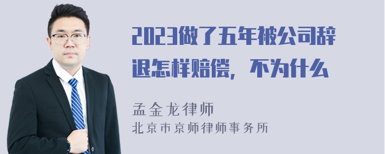 2023做了五年被公司辞退怎样赔偿，不为什么