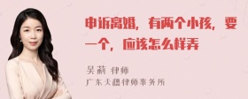 申诉离婚，有两个小孩，要一个，应该怎么样弄