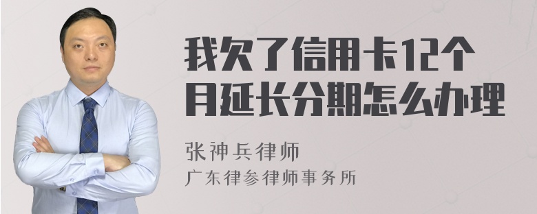 我欠了信用卡12个月延长分期怎么办理