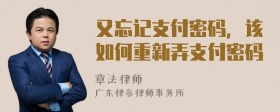 又忘记支付密码，该如何重新弄支付密码