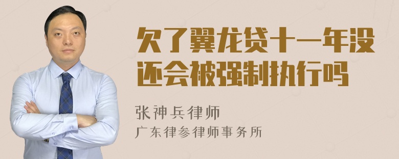 欠了翼龙贷十一年没还会被强制执行吗