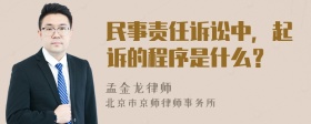 民事责任诉讼中，起诉的程序是什么？