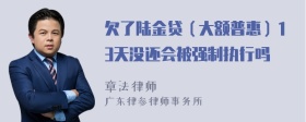 欠了陆金贷（大额普惠）13天没还会被强制执行吗