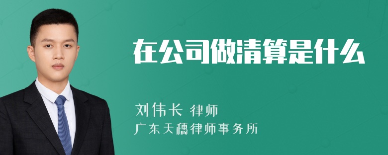 在公司做清算是什么