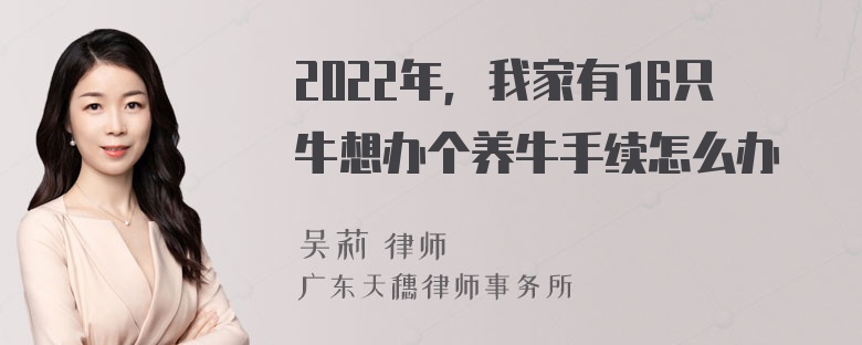 2022年，我家有16只牛想办个养牛手续怎么办