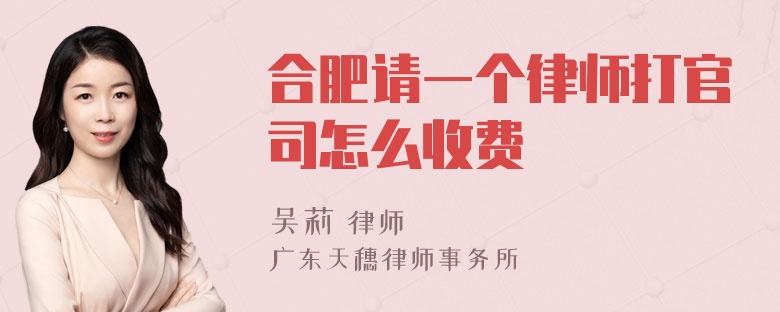 合肥请一个律师打官司怎么收费