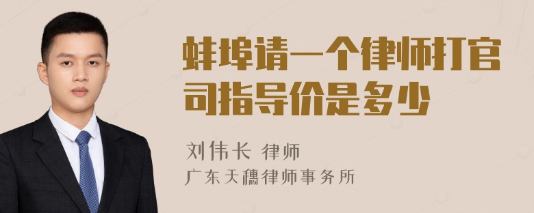 蚌埠请一个律师打官司指导价是多少