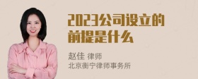 2023公司设立的前提是什么