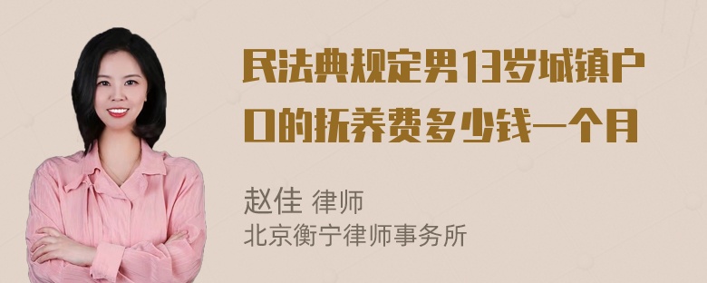 民法典规定男13岁城镇户口的抚养费多少钱一个月