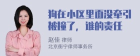 狗在小区里面没牵引被撞了，谁的责任