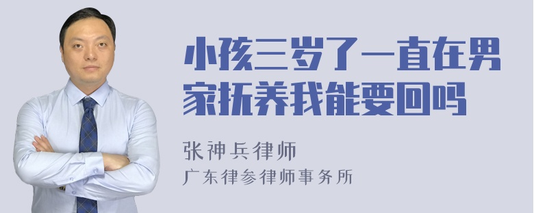 小孩三岁了一直在男家抚养我能要回吗