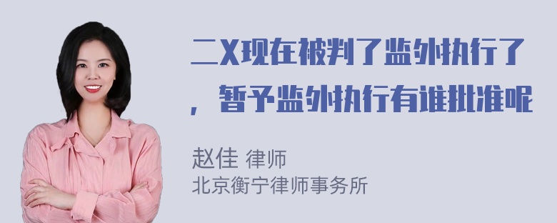 二X现在被判了监外执行了，暂予监外执行有谁批准呢